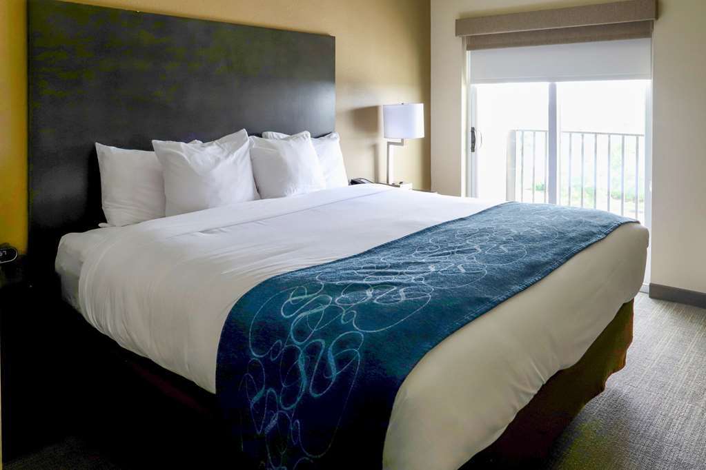 Comfort Suites Marysville Columbus - Northwest Rom bilde